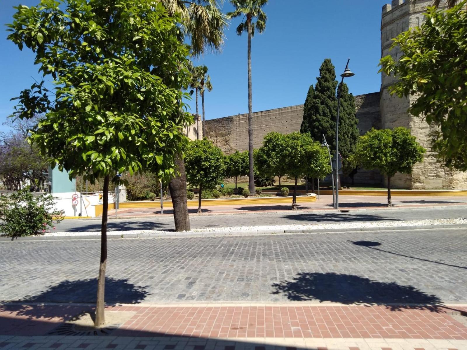 Apartmán Karisma Alcazar Jerez de la Frontera Exteriér fotografie